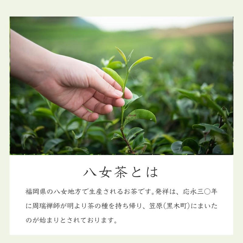 2025 New Tea YaME-CHA Sencha 3.5 oz (100 g) SS-15