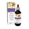 Devil's Claw (Harpagophytum Procumbens) Roots Alcohol-Free Mother Tincture Naturalma Liquid