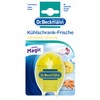 Dr. Beckmann Kühlschrank Frische | Kühlschrank-Deo | neutralisiert Gerüche effektiv