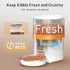 Yuposl Automatic Cat Feeders - 2L Cat Food Dispenser Easy