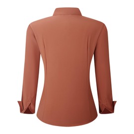 Esabel.C Womens Wrinkle Free Button Down Shirts Long Sleeve Regular Fit Four Way Stretch Work Blouse,Brick Red,L