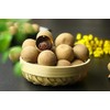 Longan Aril Fujian Specialty Dried Longan with shell 16oz 特产干货桂圓乾龙眼肉干有壳1磅