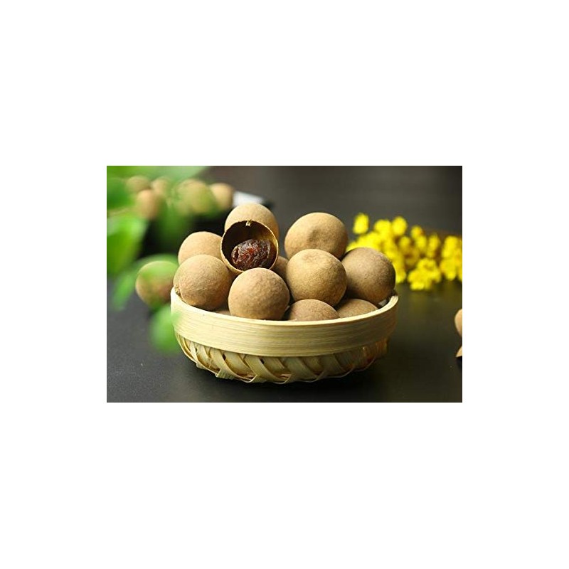 Longan Aril Fujian Specialty Dried Longan with shell 16oz 特产干货桂圓乾龙眼肉干有壳1磅