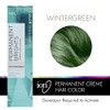 Ion Permanent Brights Crema Tinte para el cabello Wintergreen Wintergreen