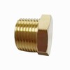 YOUHO 3/4 Npt Adapter for Pipe Fittings, Brass Pipe Fitting