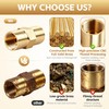 Brass Argon Hose Coupling, B Size 5/8 RH Female Quick