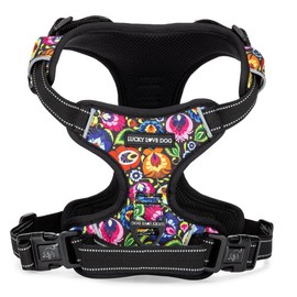 Lucky Love Dog No Pull Dog Harness, Adjustable and Easy to Walk, Cute Patterned Harness for Small Medium Large Male & Female Dogs - Blackbird, XXS