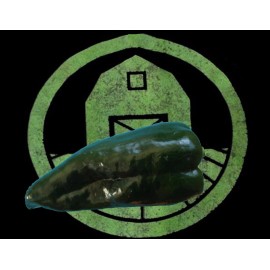 Tyler Farms 10+ Poblano Ancho Pepper Seeds (Huge and Giant) (chili, chile) Pasilla