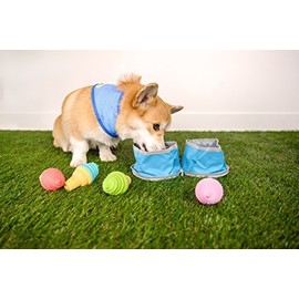 Go Fresh Pet Ice Band Cooling Bandana for Dogs (L/XL)