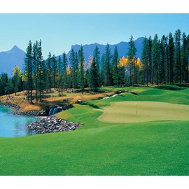 BIGGIES-Window Well Scene-Golf 70" X 60"