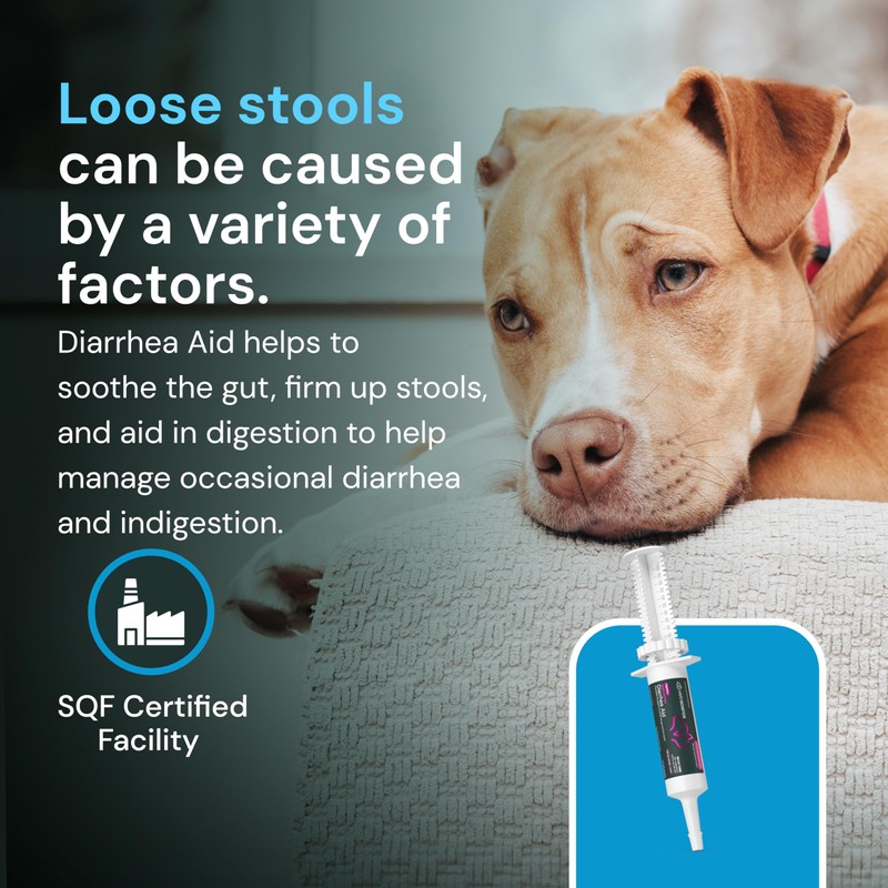 VetriScience Quick Action Diarrhea Aid Paste - Occasional Diarrhea Support