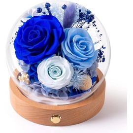 Mothers Day Flowers Gifts for Mom,Forever Preserved Roses in Glass Dome,Roses Gifts for Wife Grandma Women Daughter Mother in Law Gift./Blue