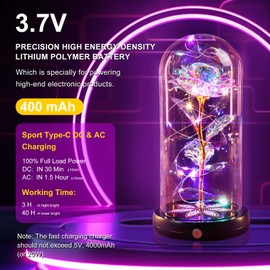 Beferr Christmas Birthday Gifts for Women Rechargeable Galaxy Rose in Glass Dome Unique Sister Light Up Rose Crystal Flower Gifts for Mom,Grandma Roses Ideas Gifts for Wife Daughter Friend