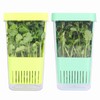 LUVCOSY 2 Pack Herb Keeper, BPA-Free Plastic Herb Saver with