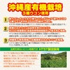 オリヒロ 沖縄3種ウコン粒 420粒