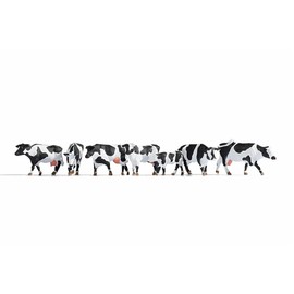 Noch 15725 Cows, black-white, Coloured
