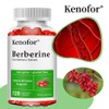 Premium Berberine Supplement Capsules - Immune System Health Food Antioxidant Non-GMO, 2 Pieces, 60 Servings / 프리미엄 베르베린 보충캡슐 - 면역체계 건강식품 항산화제 Non-GMO, 2개, 60회분