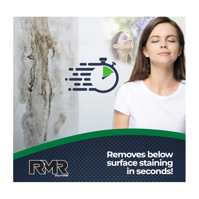 RMR Brands Instant Mold and Mildew Stain Remover Spray -