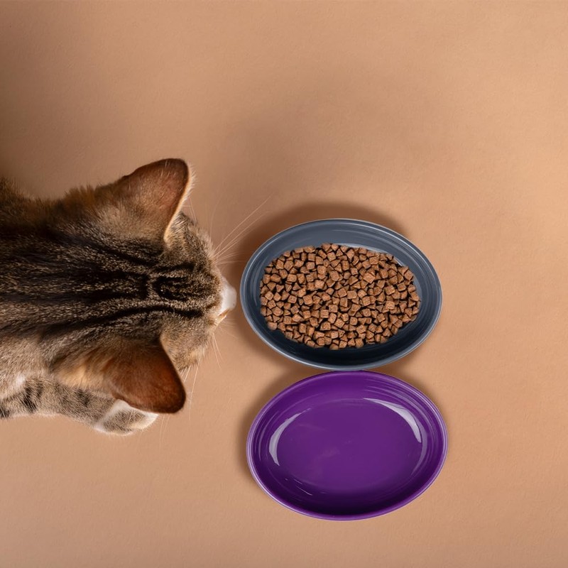 Fancy Pets Set de 2 Platos para Gatos Inclinados y