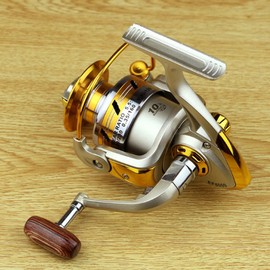 E Support 10BB Ball Bearing Saltwater Left/right Fish Fishing Spinning Reel 5.5:1 EF2000