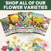 Zinnia California Giants - Large 2,500mg Envelope - 250 Flower