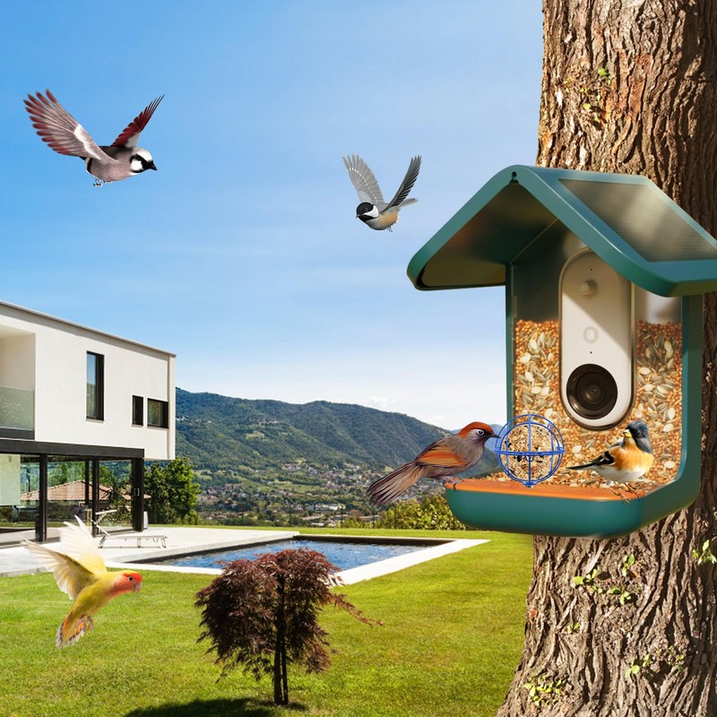popolov Metal Suet Ball Holder Compatible with Bird Buddy Smart