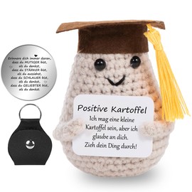 Bachelor Gift Positive Potato, Knitting Wool Potato Doll and Lucky Charm (Silver), Master Graduation Gift Lucky Charm Exam, Courage Gift, Pocket Hug, Bachelor Decoration