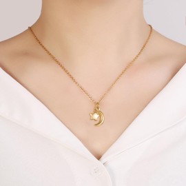 STEFWD Moon Star Cremation Jewelry For Human Ashes Stainless Steel Memorial Urn Necklace Keepsake Sympathy Gifts For Women Girls (Gold)