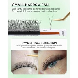 NAGARAKU Extensiones de Pestañas Estrechas 3D W Pre Armadas Pestañas De Trébol 3d Con Espacio Pequeño Imitación de Visón mate Negro 12 filas Suaves Naturales - 0,07D Curvatura 8-15 mm Mixto