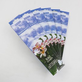 Hosley Nag Campa Incense Sticks Essential Oils Infusion for Long-Lasting Aromatherapy Bliss Holistic Relaxation in Every Box Pack of 240 Incense Stick