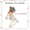 Little Beast Dog Bandanas Adjustable Fit - Cute Dog Pet