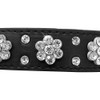 haoyueer Rhinestone Dog Collar, Cute Flower Rhinestone Cat Dog Collar,