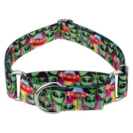 Country Brook Petz - Space Aliens Martingale Dog Collar - Geek Chic Collection Featuring Designs for Any Mega Fan (1 Inch, Medium)