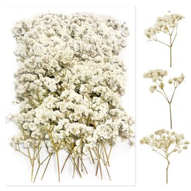 100 pezzi paniculata conservata (bianco) - Fiori secchi piccoli naturali per gioielli in resina e fai da te