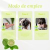 Vemare Cosmetics Shampoo con Extracto de Bergamota Fortalecedor Capilar 100ml