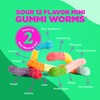 Albanese World's Best Sour 12 Flavor Mini Gummi Worms |