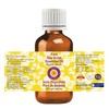 Deve Herbes Pure Star Anise Essential Oil (lllicium verum) Steam