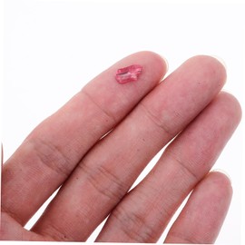 Gatuida Natural Abalone Shell Nail Charms for Manicure Colorful Nail Art Decorations for Christmas Weddings Birthdays DIY Nail Designs