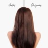 Pantene Crema para Peinar Pro-V Control Caida 300 ml