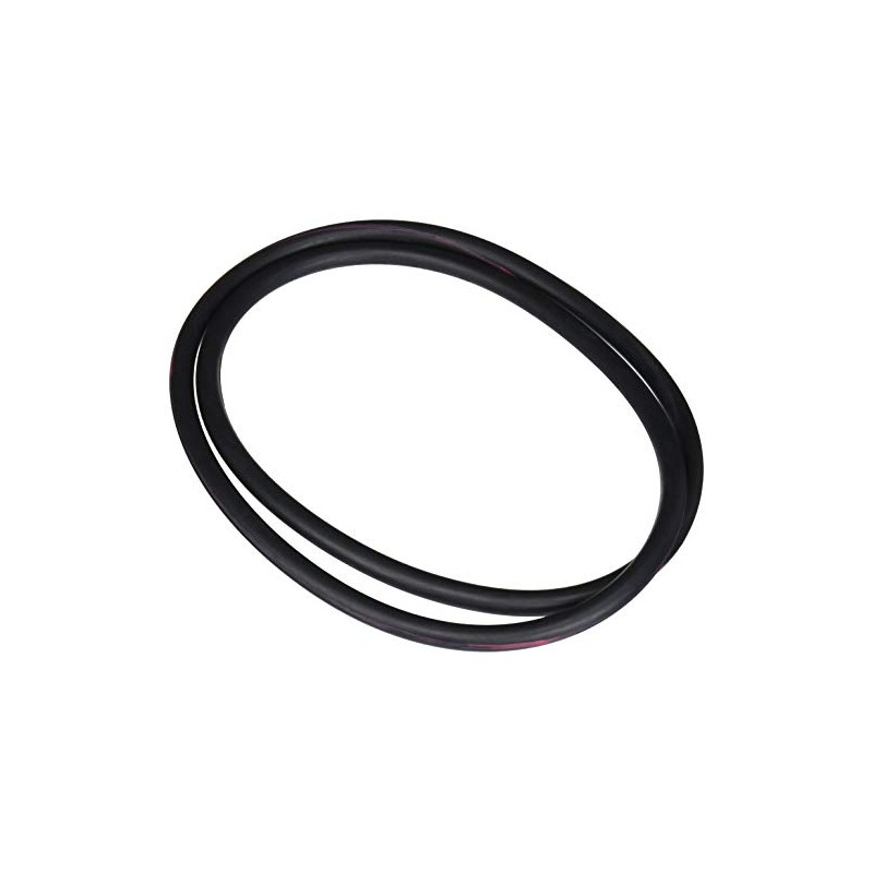 Pentair 071439 O-Ring Replacement SM and SMBW 4000 Series Pool