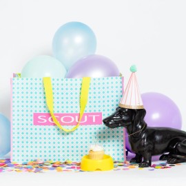 SCOUT 2024 Scout Shopper Tote NWT - Limited Edition SOLD OUT