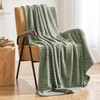 MIULEE Sage Throw Blanket 3D Ribbed Jacquard Fleece Flannel Velvet
