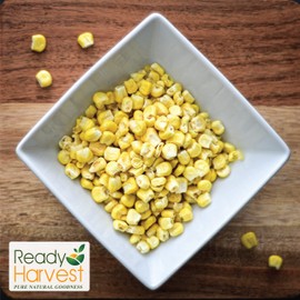 Ready Harvest Freeze-Dried Corn Sweet Corn Canned Corn | Freeze-Dried Vegetable | Freeze-Dried Food Emergency Food Survival Food Camping Food | Bug Out Bag #10 Can 25-Year Shelf Life 19oz