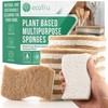12 Pack Natural Kitchen Sponges, Compostable White Cellulose & Organic