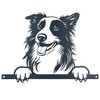 AB Tools Black Metal Peeking Collie Silhouette with Fixing Plate