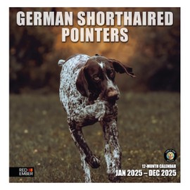 RED EMBER German Shorthaired Pointers 2025 Wall Calendar 12 Month | 12" x 24" Open | Thick & Sturdy Paper | Giftable | Calendar 2025
