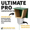 Best Bee Brothers Ultimate Pro, Carpenter Bee Trap with Bee
