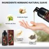 Shampoo Con Aceite De Argán Tinte Cubre Canas-marrón Oscuro