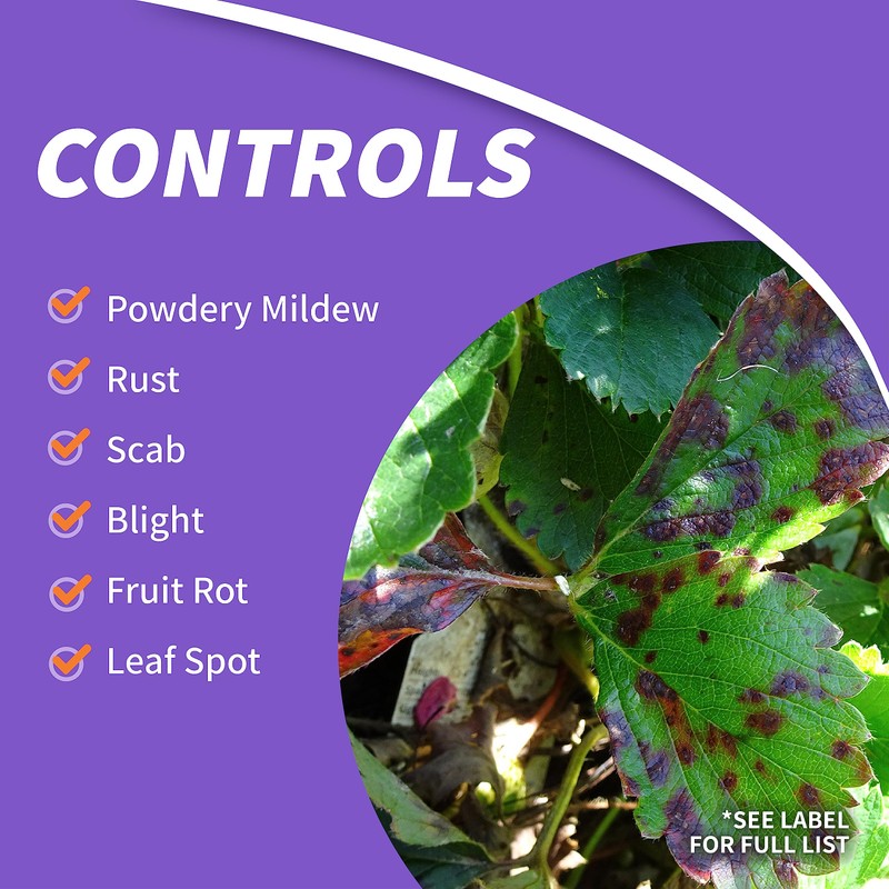 Bonide Fruit Tree & Plant Guard, 16 oz Ready-to-Spray Insect