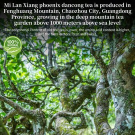 XIXICHA Phoenix Dancong Oolong Tea 120g/4.23oz Honey Orchid Mi Lan Xiang Phoenix Oolong Tea Loose Leaf Chinese Tea Chinese High Mountain Strong Floral Flavor 特级凤凰单枞 乌龙茶 单丛茶 潮州乌岽单枞茶叶